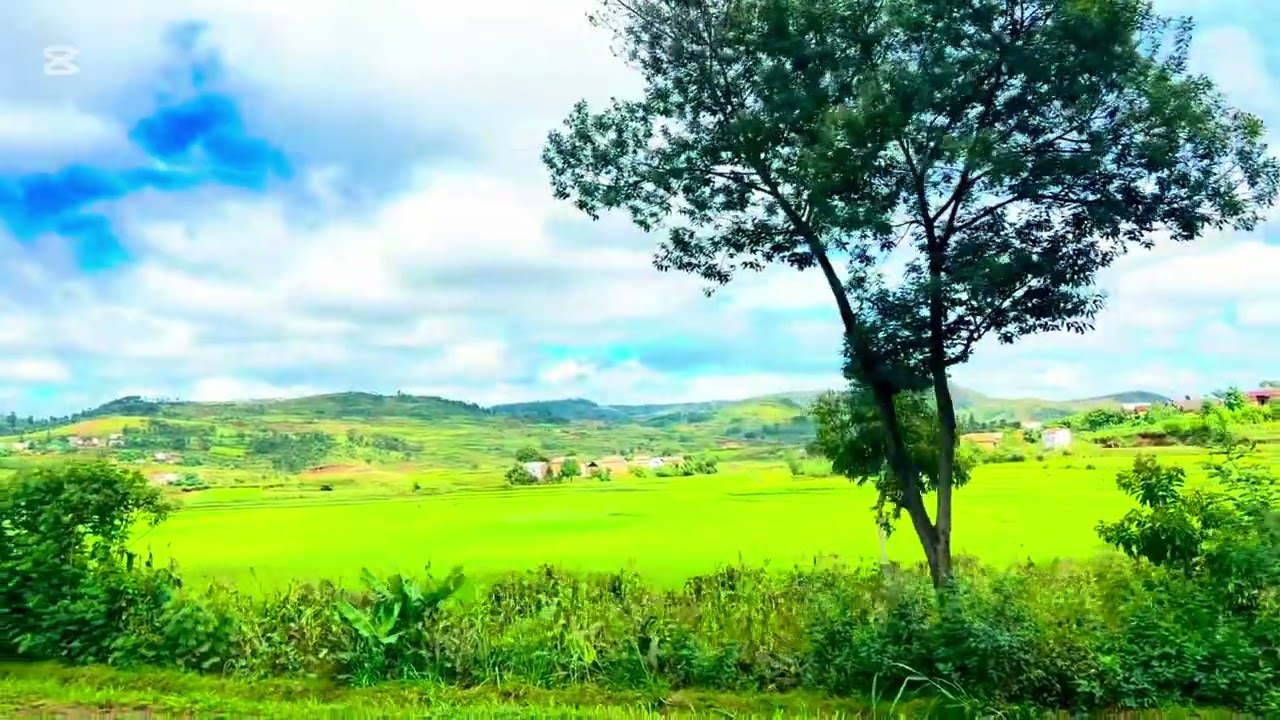 Madagascar - Travel - RN7