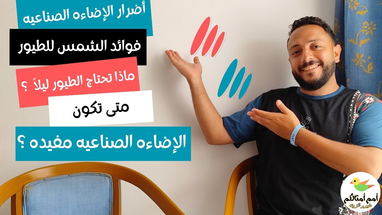 هو النور ممكن يموت الطيور ؟ أسرار الإضاءه للطيور الزينه