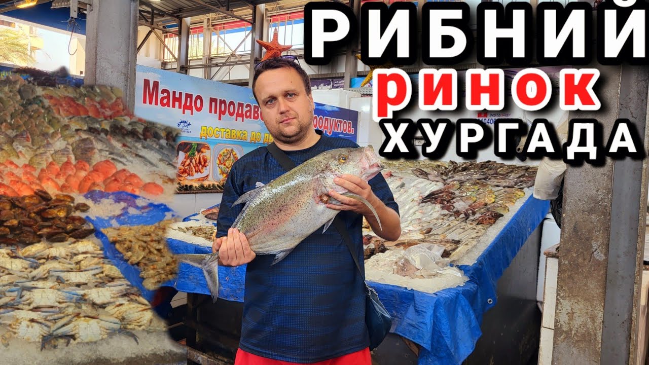 Рибний ринок в Хургаді.Пошуки дешевих кальмарів в Єгипті.