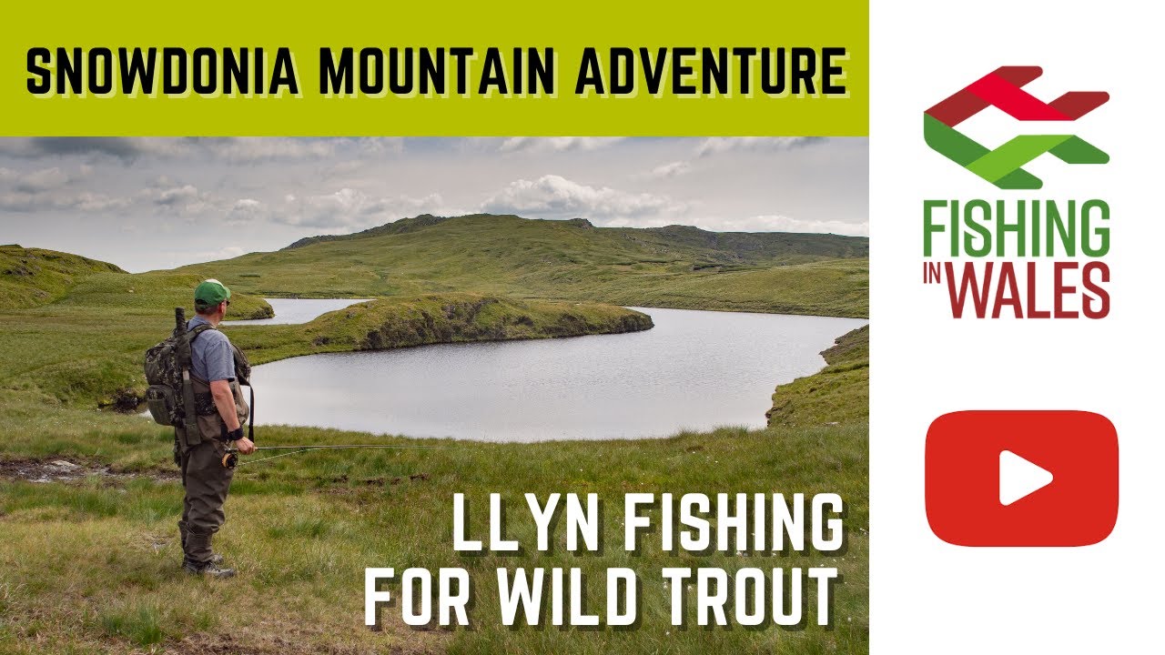 Snowdonia Mountain Trout adventure - llyn fishing for wild brown trout in North Wales