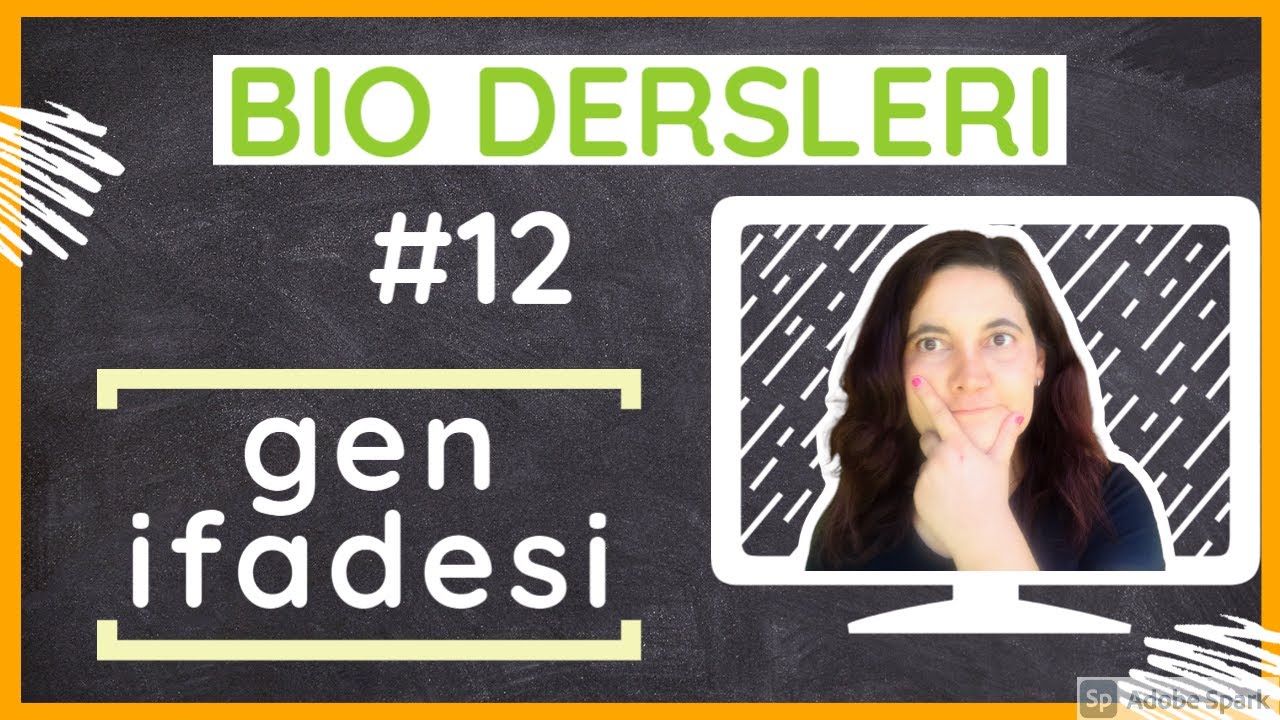 Biyoloji Dersleri #12: Transkripsiyon ve translasyon (gen ifadesi)