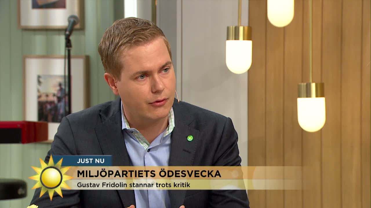 Gustav Fridolin stannar trots kritik - Nyhetsmorgon (TV4)