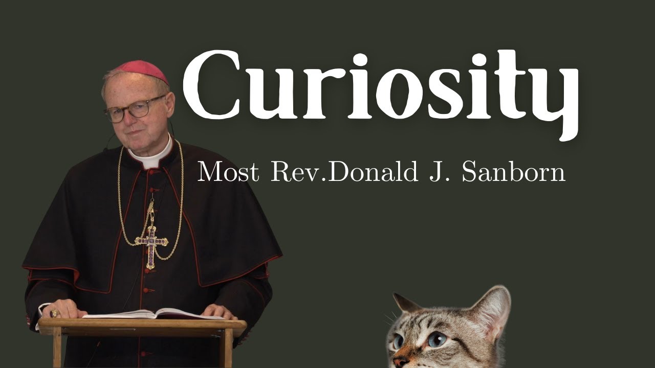 On Curiosity, by Most Rev. Donald J. Sanborn