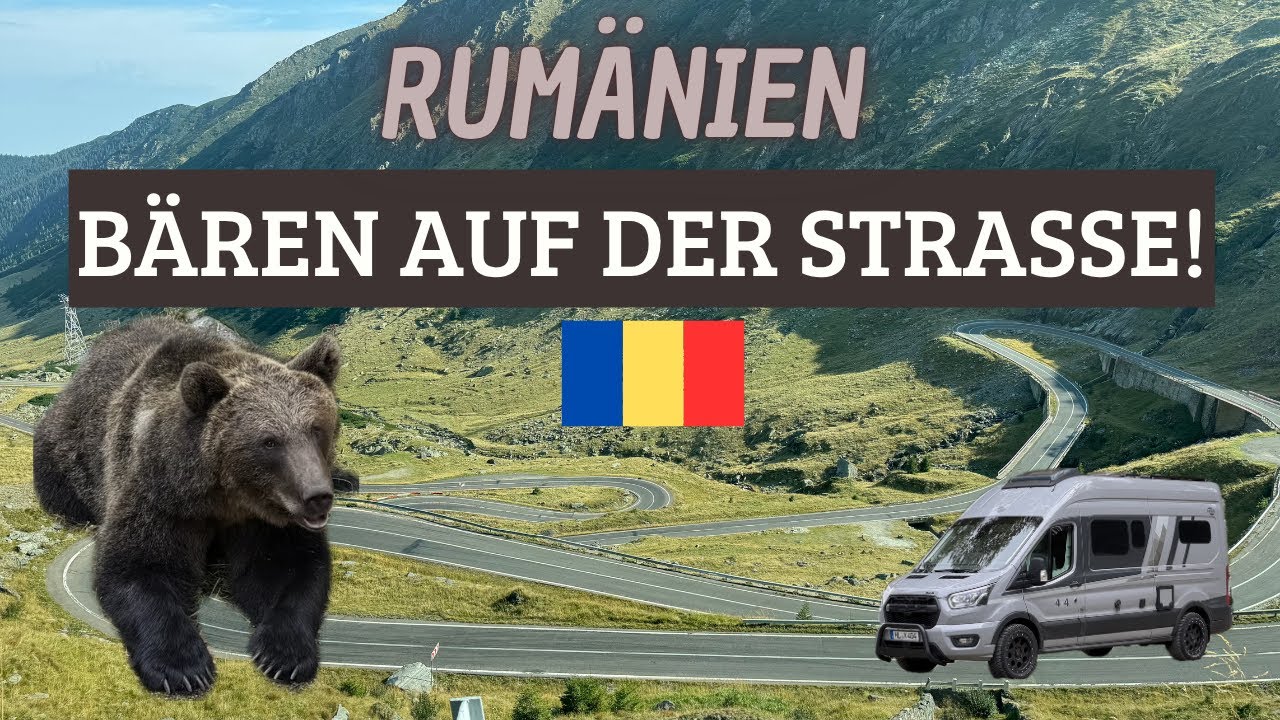Wohnmobil Abenteuer in Rumänien – Begegnung mit echten Bären in den Karpaten!