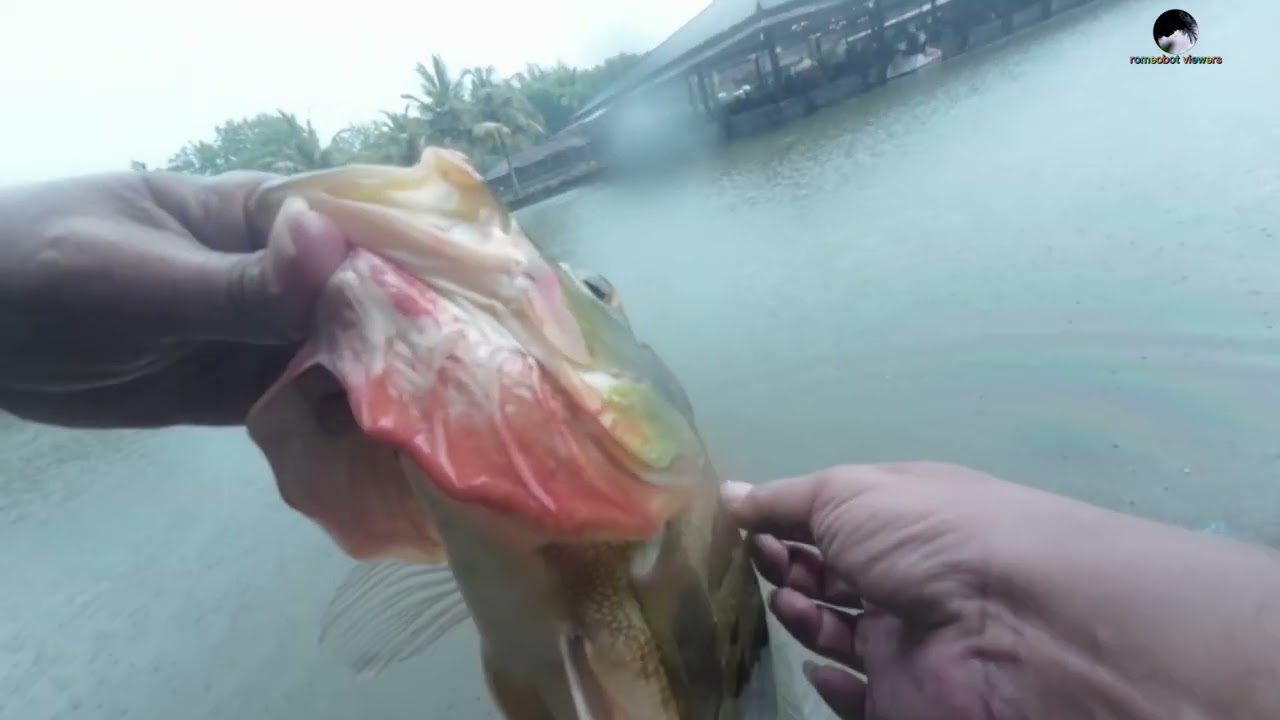 test drive joran shimano trout one ns b50ul ft shimano calcutta conquest bfs xg 23