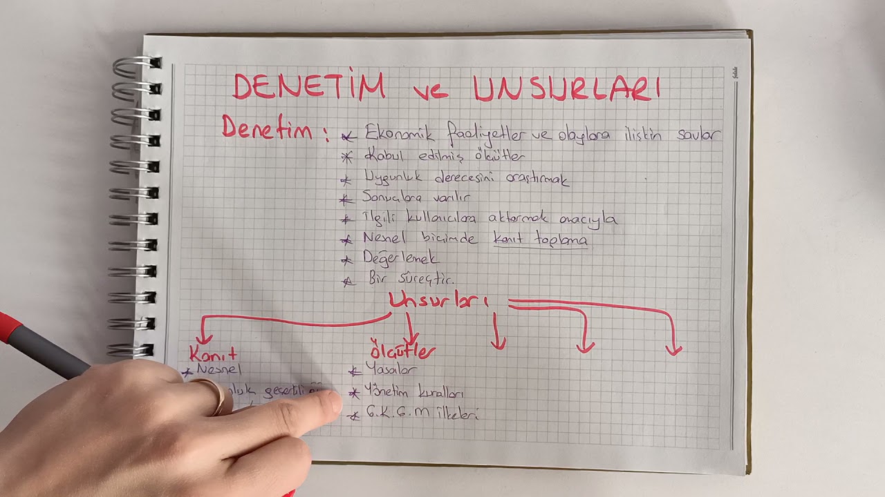 Denetim ( Denetim Tanımı ve Unsurları)