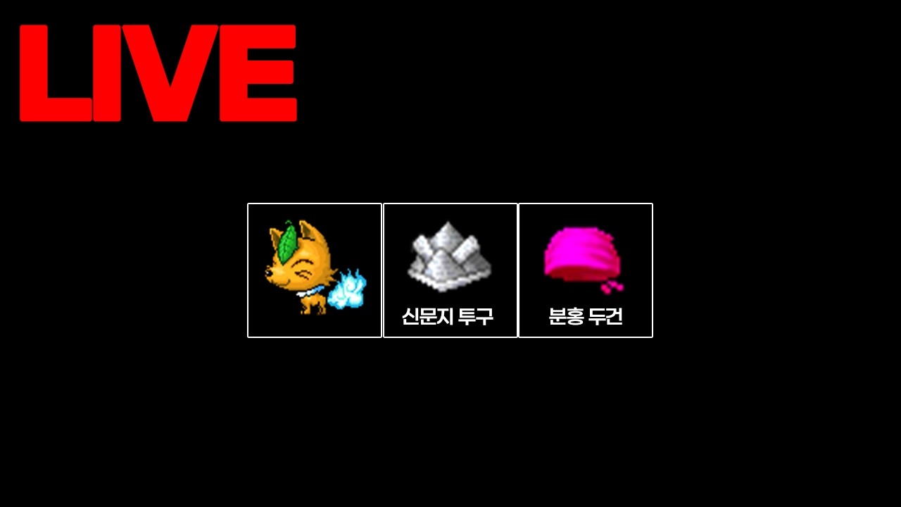 분홍두건 실물 가져왔습니다 【 도감작 】
