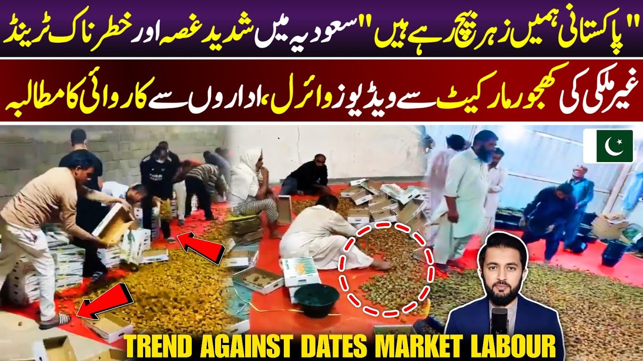 Workers in Dates Market | Arab And Pakistani Labour Videos Packing Cottons & Packages