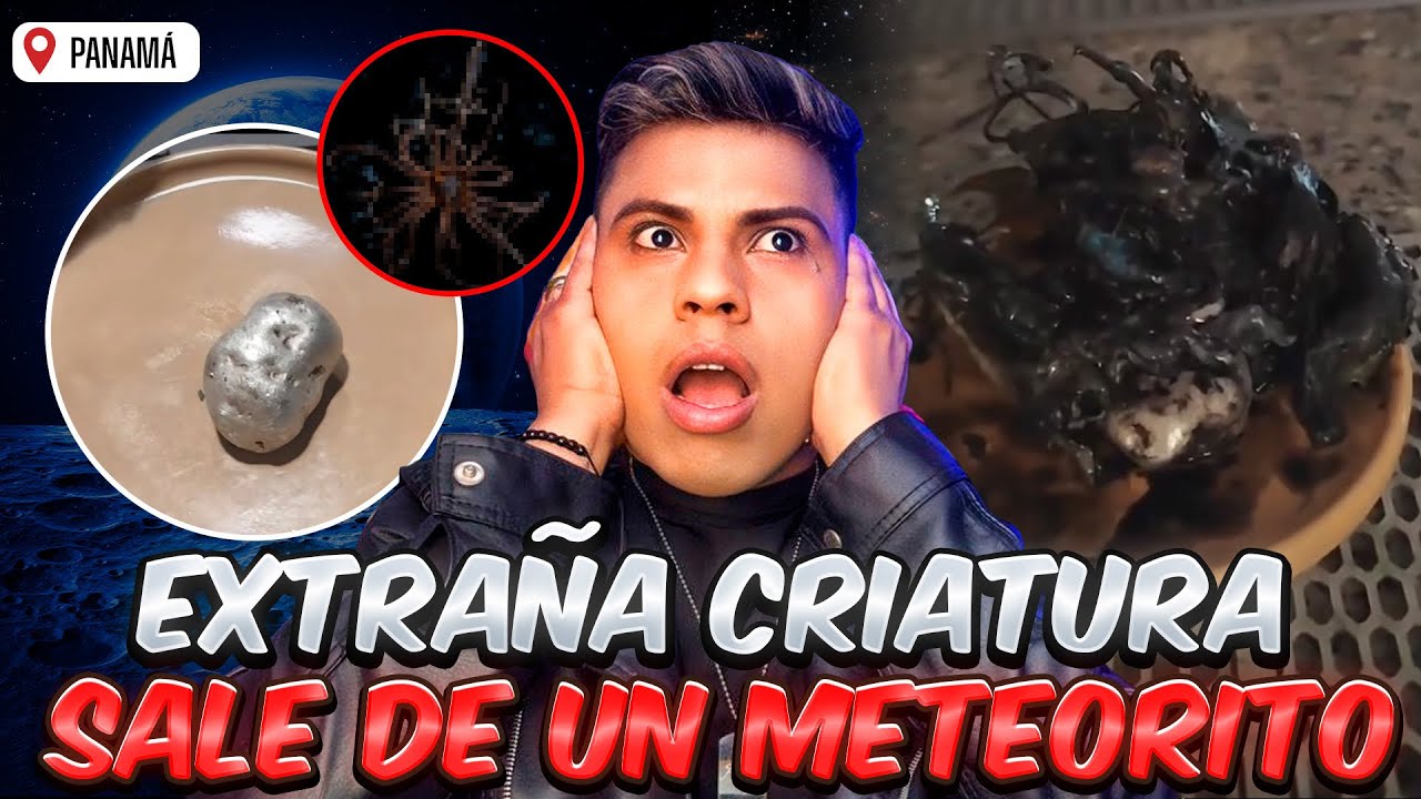 UN METEORITO que impactó en PANAMA tenía vida en su INTERIOR 