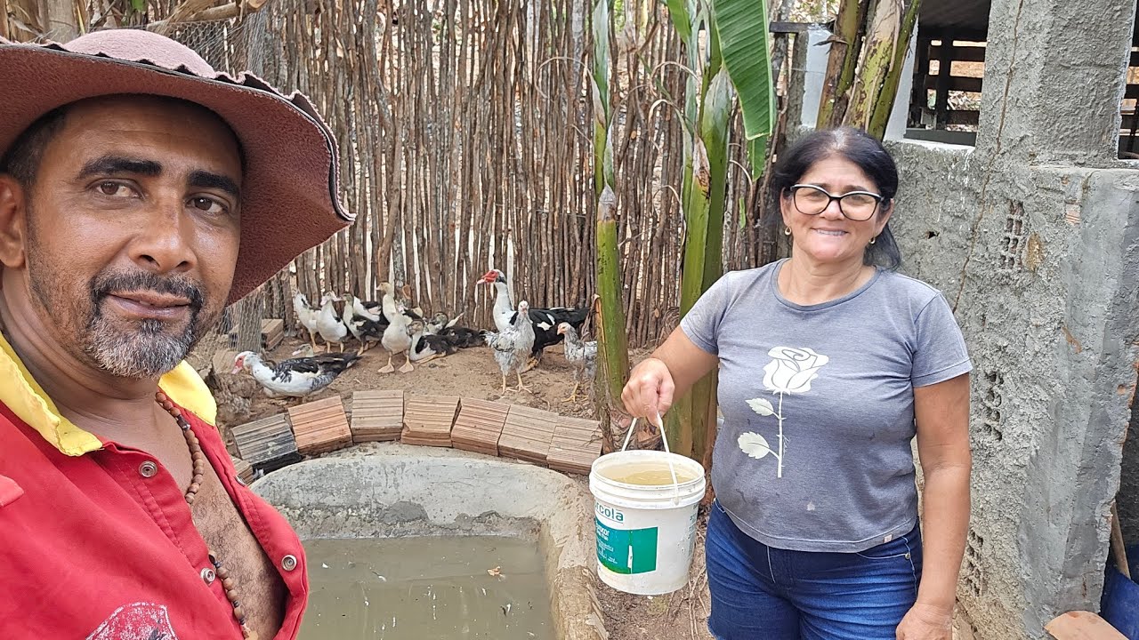 COMEÇANDO ORGANIZAÇÃO NO SÍTIO @damiaoolinda 