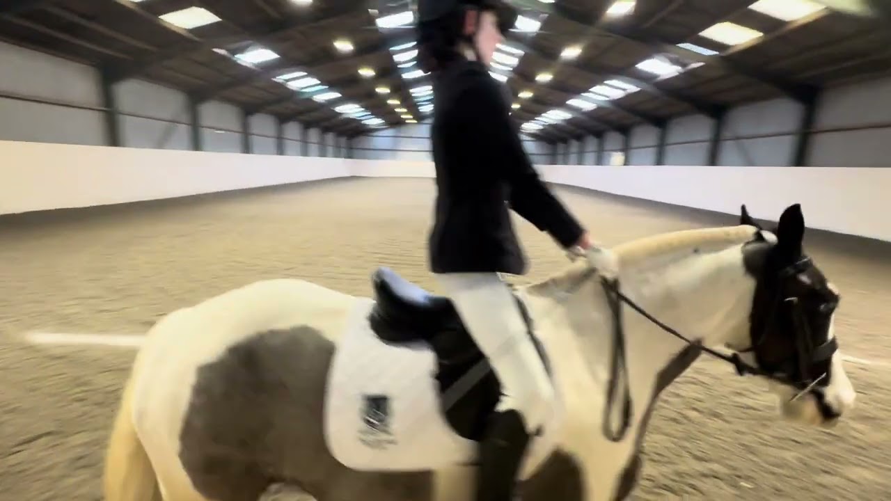 Polly and Rio