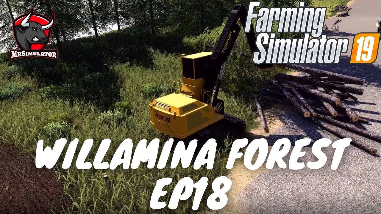 Extending the field!🌲 - Willamina forest ep18 - Farming simulator 2019