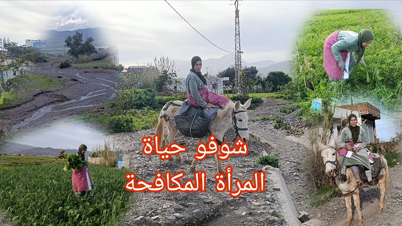 وثائقي: شاهد ماذا تقوم به😱 المرأة القروية من أعمال شاقة كفاح من أجل لقمة العيش 🌿
