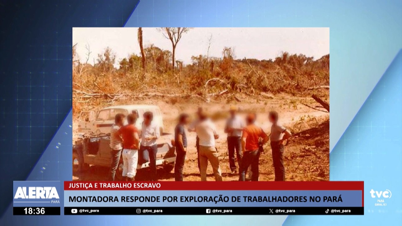 Montadora volta a responder à Justiça por caso de trabalho análogo à escravidão no Pará