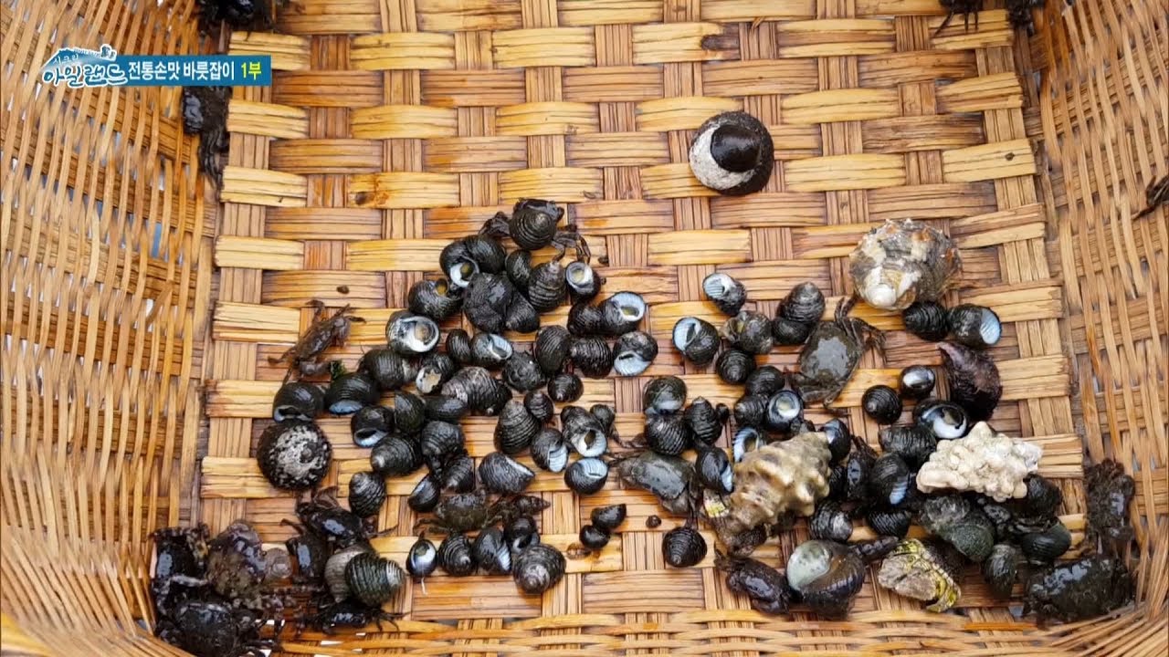 [53회] 전통손맛 바릇잡이 1부 | 시크릿 아일랜드
