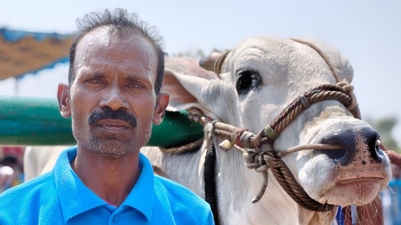 అన్నమయ్య జిల్లా లక్కిరెడ్డిపల్లె మండలం అనంతపురం గ్రామం ఓల్డ్ కేటగిరీ 2వ జత 💥💥💥
