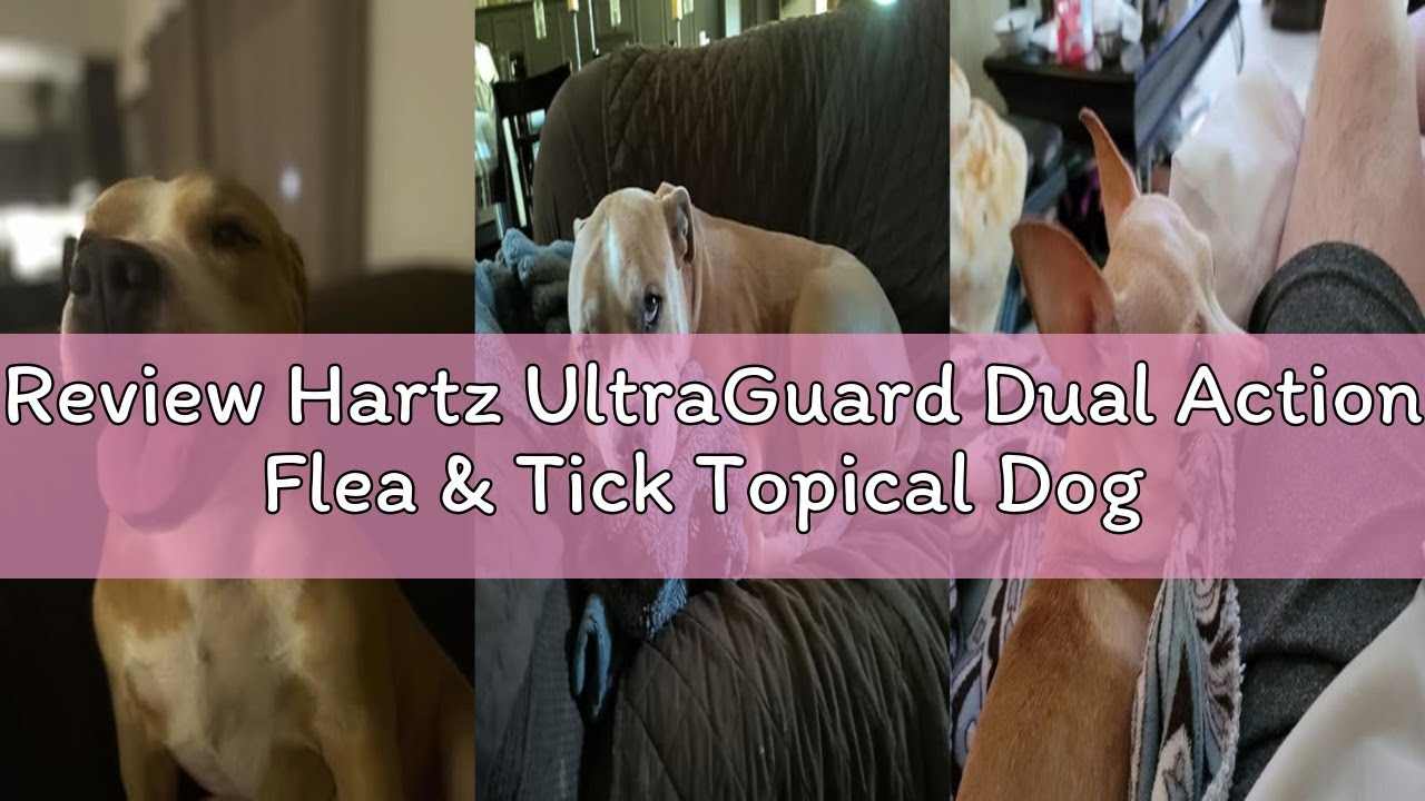 Review Hartz UltraGuard Dual Action Flea & Tick Topical Dog Treatment and Flea and Tick Prevention,