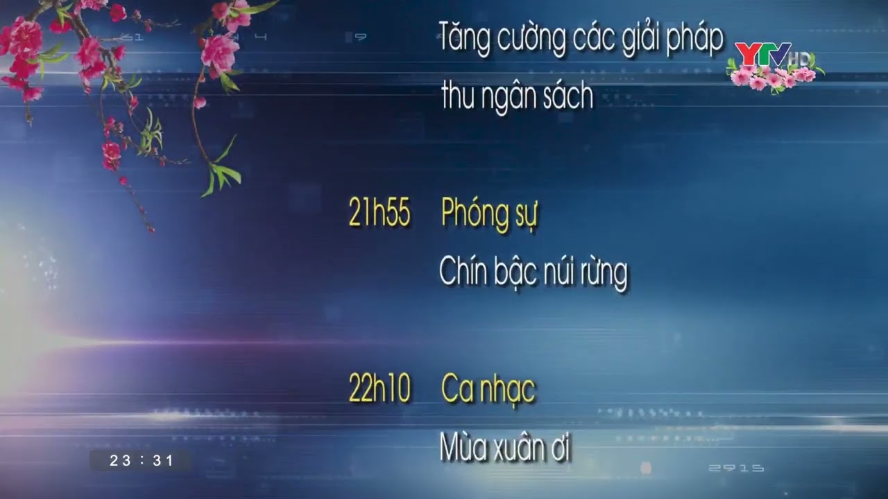[2023]Tổng hợp giới thiệu chương trình ngày mai của vài kênh địa phương 30 Tết(21/1/2023).