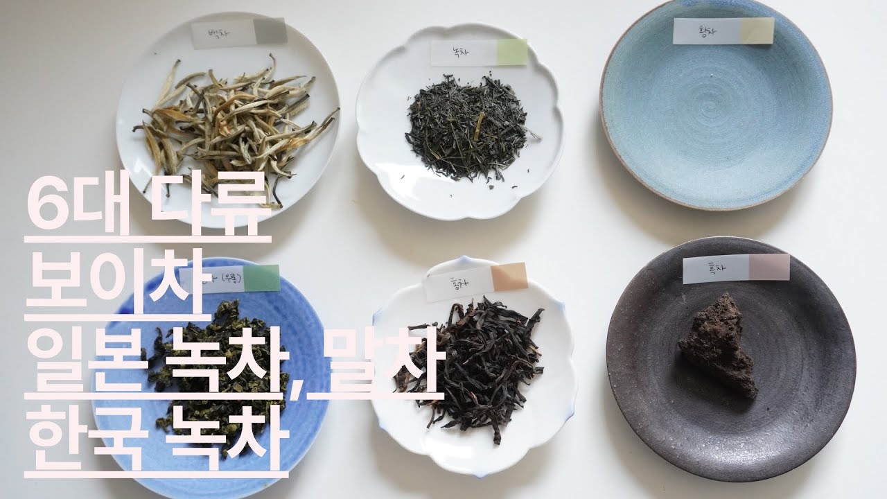 6대 다류ㅣ보이차ㅣ서양홍차ㅣ일본 녹차, 말차ㅣ한국 녹차