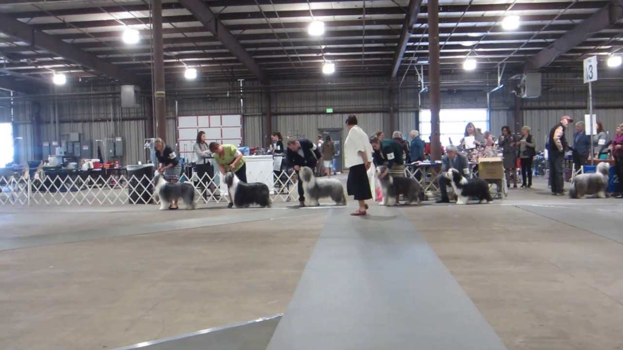 MVI 3272 NCBCC '18 Final Run (2) - WB