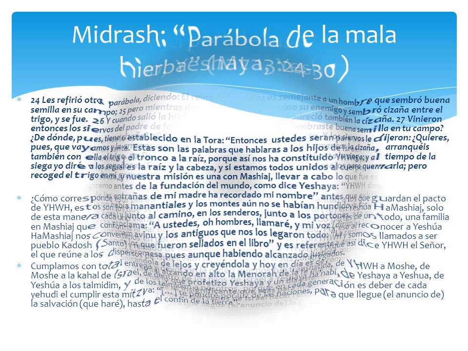 Ministerio Efraimita Mesi&aacute;nico Or leGoyim