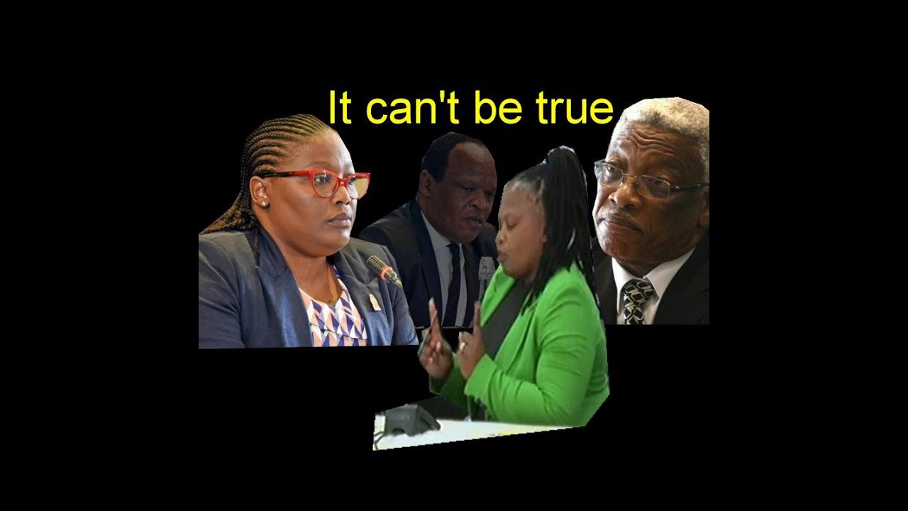 Former PA throw Andiswa Mengo under the bus at Judge Mbenenge's Tribunal 2025 #tribunal #mbenenge