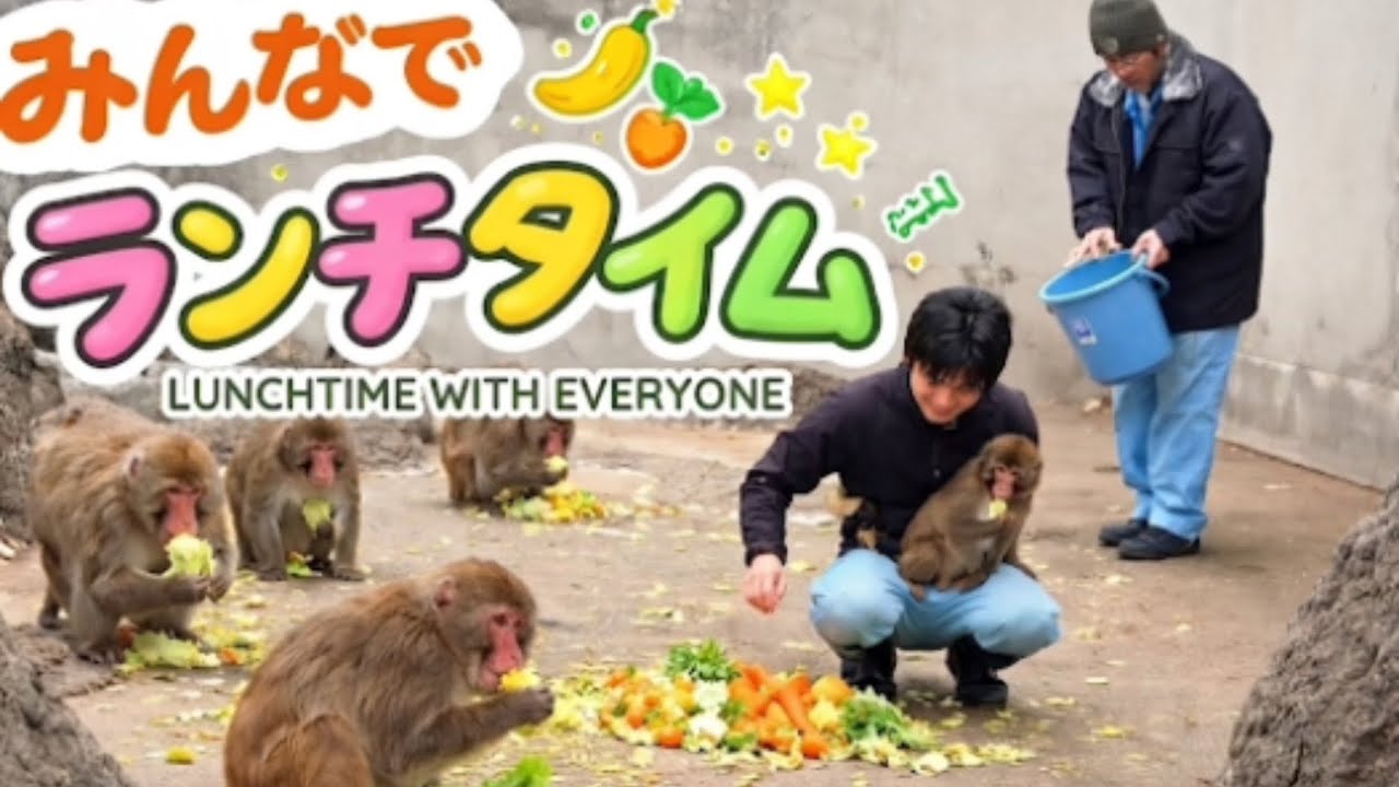 【最新】2026年3月18日みんなでランチタイム🐵パンチ君もモグモグ🌱
