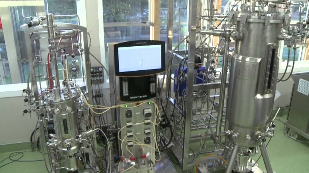 Industrial Fermentation -- creating new products from wood