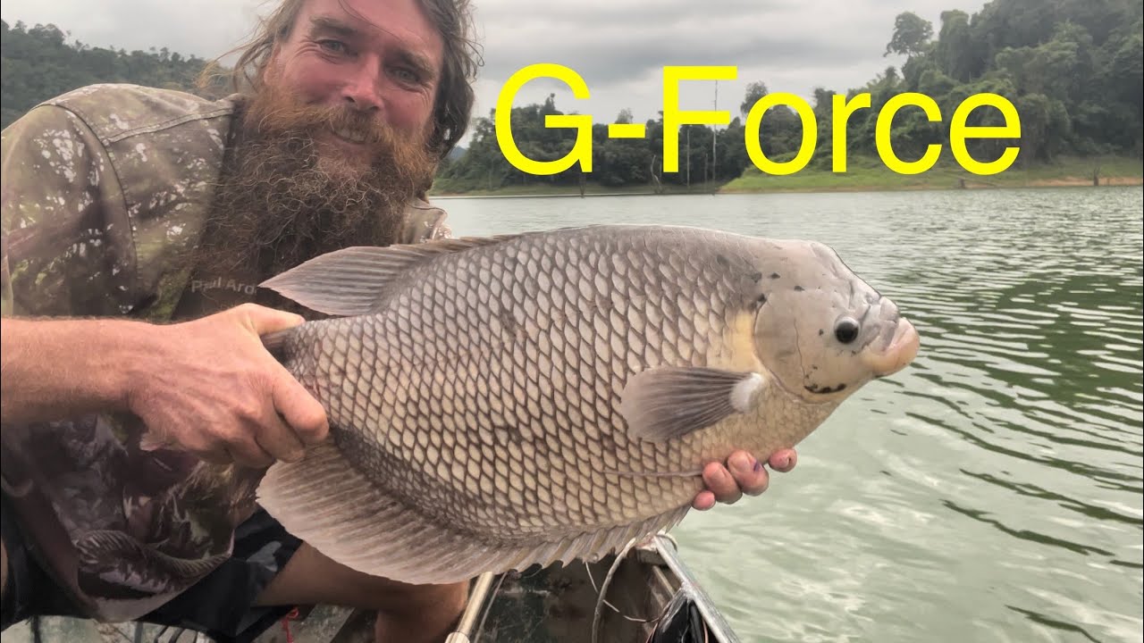 G-Force