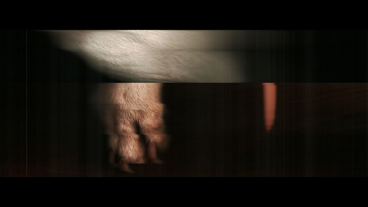 Green Gardens  - Ghost of A Tree (Official Music Video)