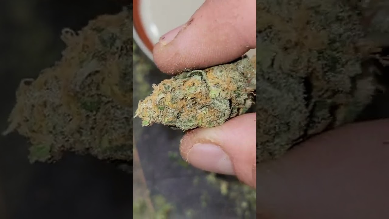 Purple Punch Cookies