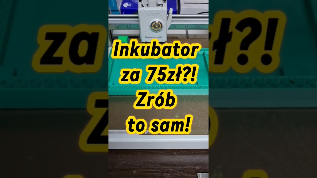 Odpowiedź na pytania o inkubator do matecznik&oacute;w. #PolskiMiodek #inkubator #zr&oacute;btosam #druk3D #ul