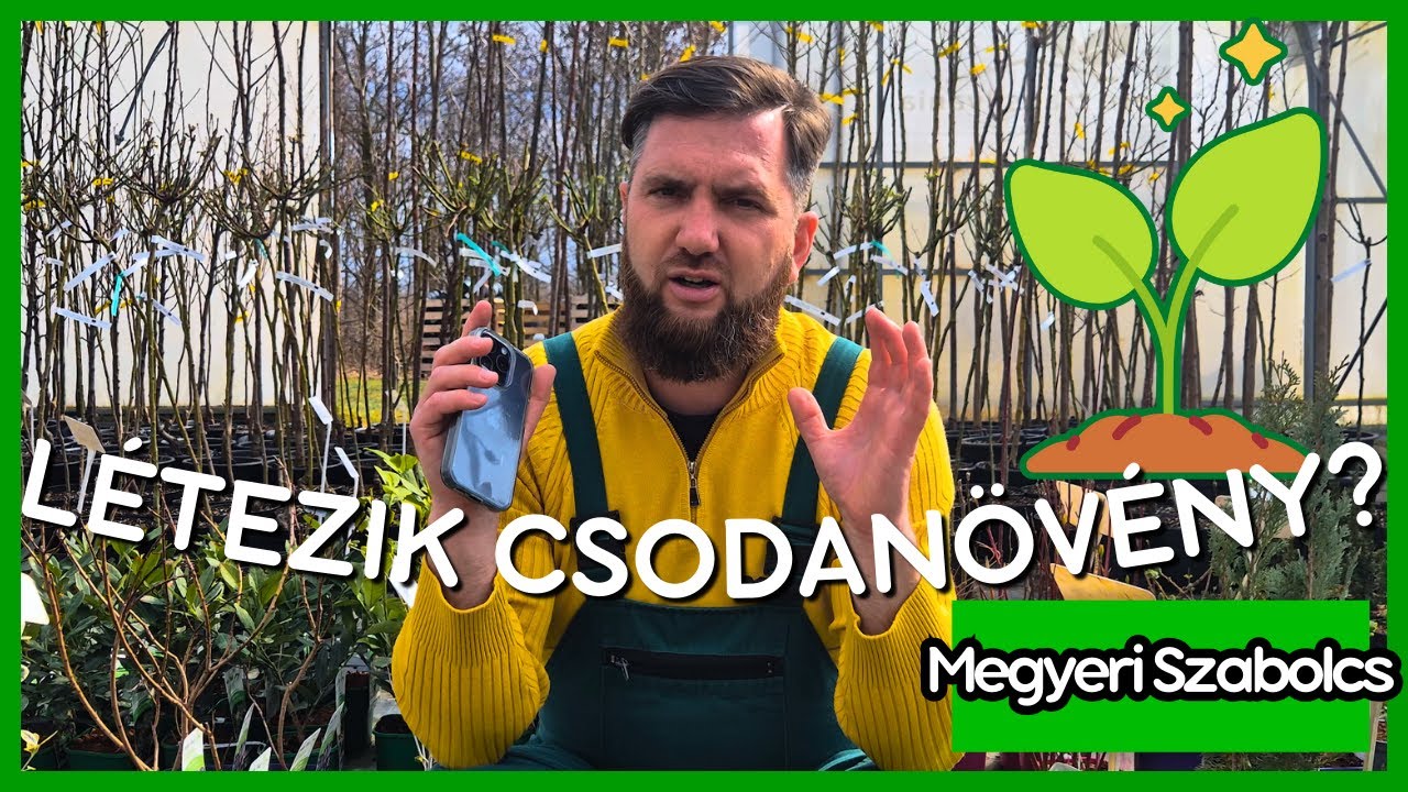 Létezik csodanövény a klímaváltozás ellen?