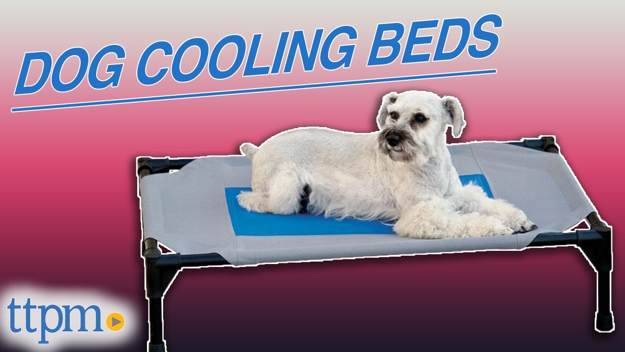 Puppies Review Dog Cooling Beds! *ADORABLE* | TTPM Pet Reviews