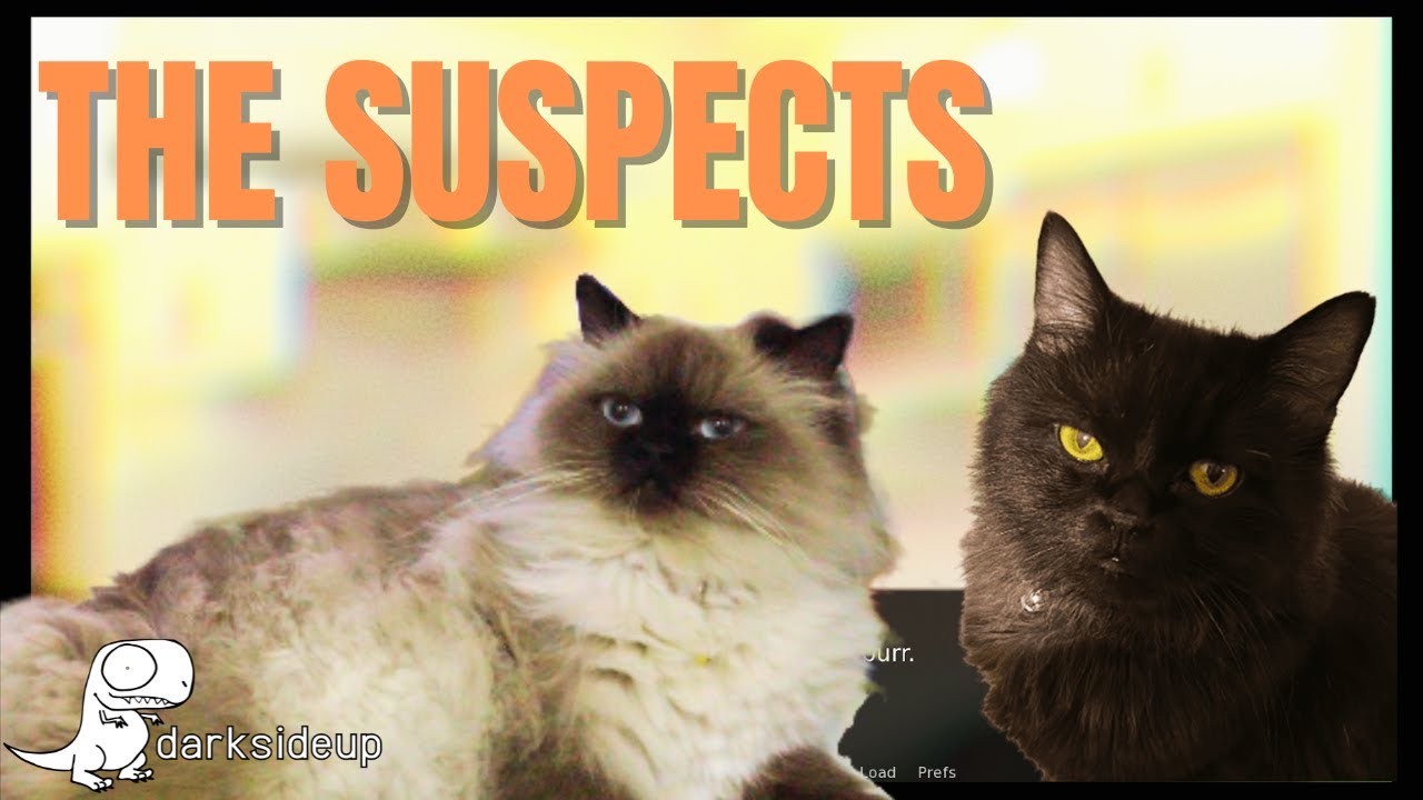 Why I am not surprised | Do NOT Take This Cat Home | First Look