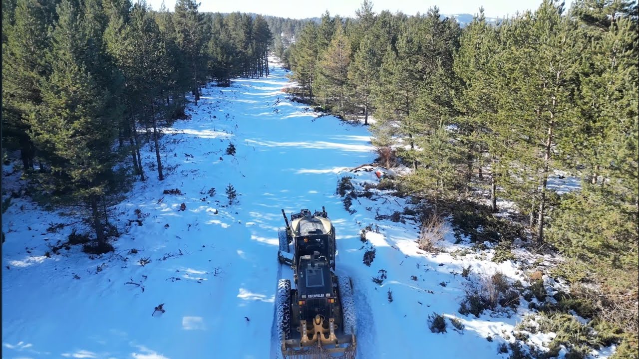 CAT140m GRADER -tree fell down-ağaç devrilmiş-snow-karla mücadele #djimini3pro #cat #snow #keşfet