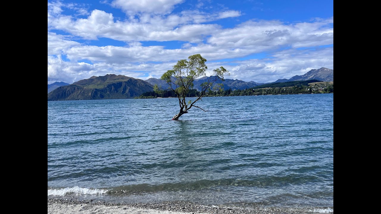 世界上最孤獨的樹? 去看湖中湖? 紐西蘭南島十四天非自駕自由行 I 絕美景色 I 瓦納卡篇 I EP. 4 New Zealand Travel Scenic Video I Lake Wanaka