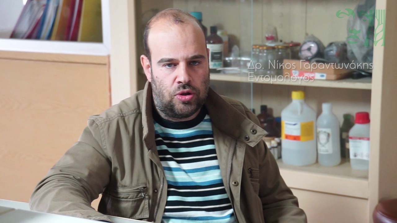 Νεώτερα Ερευνητικά Αποτελέσματα στην Αντιμετώπιση του Δάκου της Ελιάς (Απρίλιος 2017)