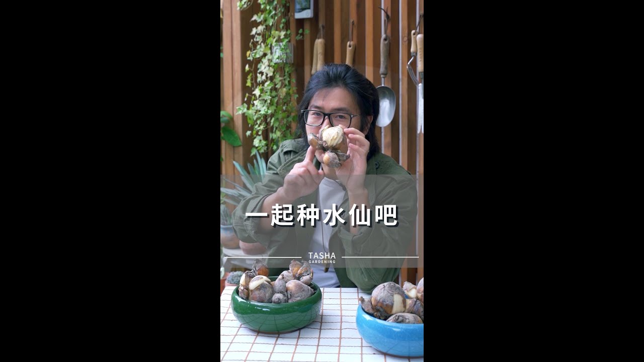 水仙如何种植？一个视频教会你~