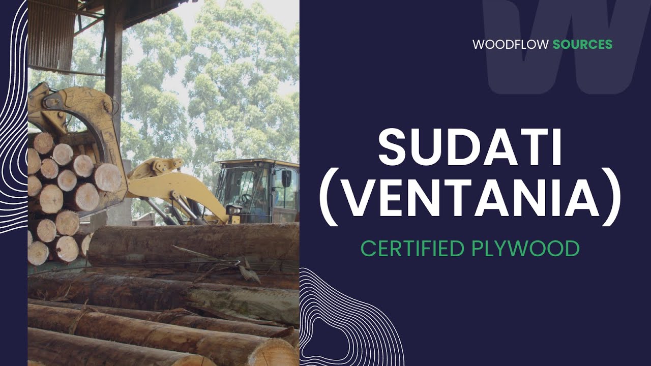 Visit Sudati - Ventania: Top Plywood Exporter in Brazil