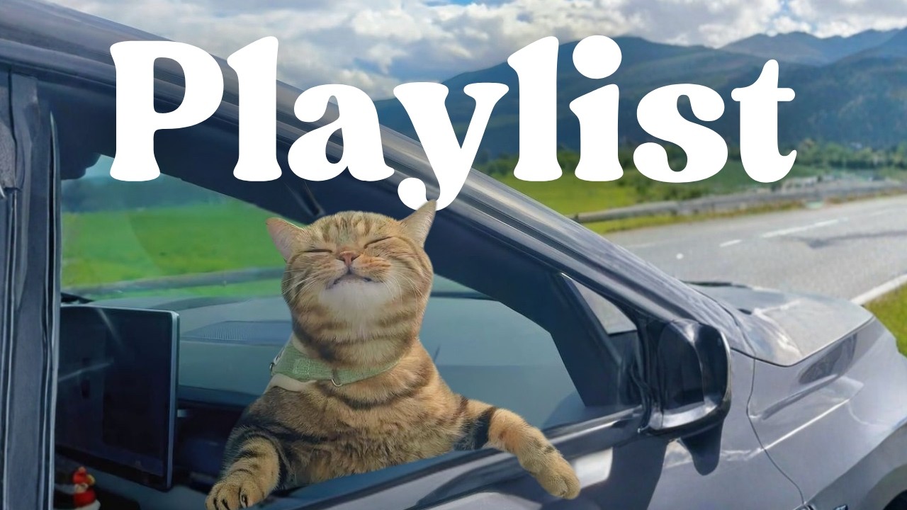 𝐏𝐥𝐚𝐲𝐥𝐢𝐬𝐭 연휴 드라이브 POP 🐈🚗 | 틀자마자 분위기 살아나는 플리 | DRIVE · GROOVE · WORK | 드라이브 · 카페 · 매장음악 · 집중 · 작업