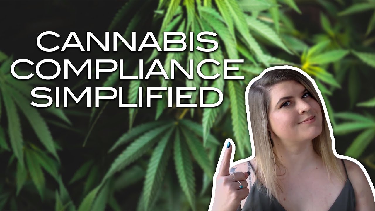 Protect Your Cannabis Business: Most Common Compliance Program Mistakes