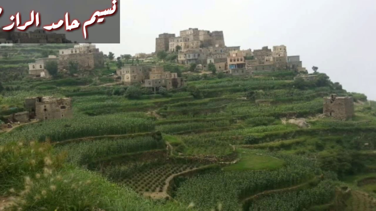 اقوئ دقه عود عبد الله الرازحي