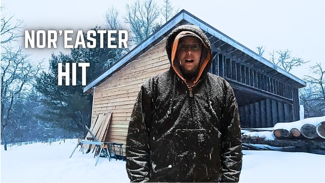 Storm Chores on our Nova Scotia Homestead - Ploughing, Firewood & Animals