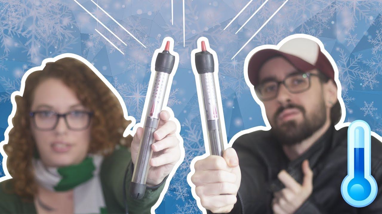 O que VOCÊ PRECISA SABER sobre TERMOSTATOS para proteger seu PEIXE do FRIO?