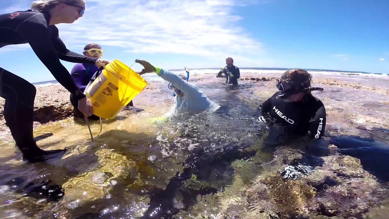 2019 Minerva Reef Lobster Rodeo