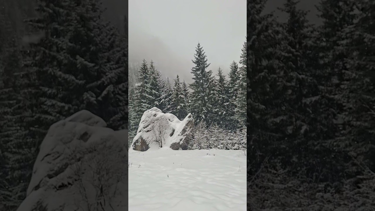 Spre cabana Malaiesti,  Bucegi.