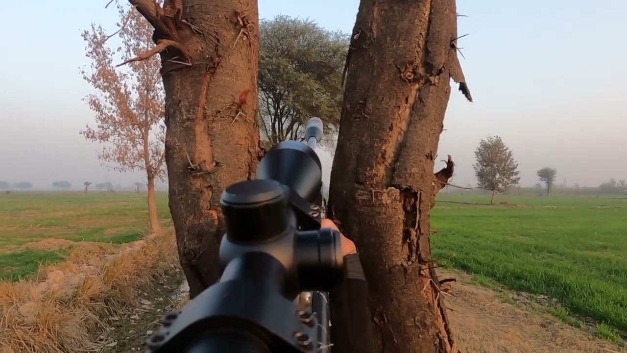Gamo swarm magnum pro 10x gen3i