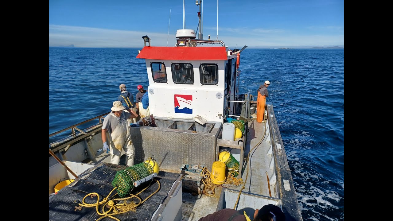 Basic Ropeless Fishing in South Africa