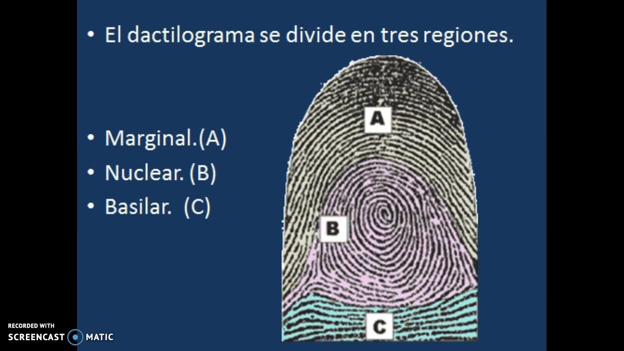 DACTILOSCOPIA.
